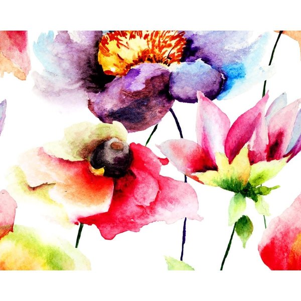 Ohpopsi Watercolour Flora Wall Mural WALS0025